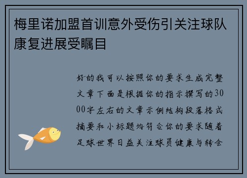梅里诺加盟首训意外受伤引关注球队康复进展受瞩目